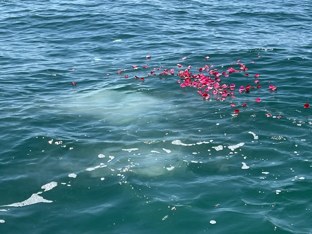 Sea Trek burial at sea service setting off the Los Angeles coast